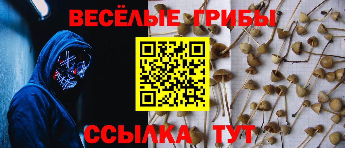 Великий Новгород  Псилоцибиновые грибы Magic Shrooms  Вход с VPN 